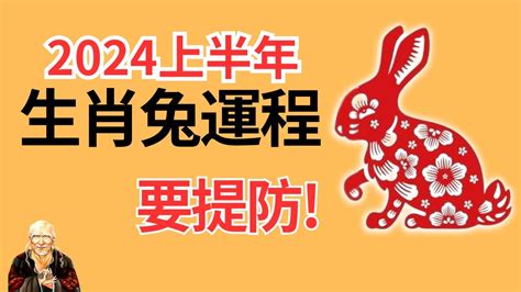 2024年肖兔運程|属兔2024年运程及运势详解 2024年属兔人全年每月运势